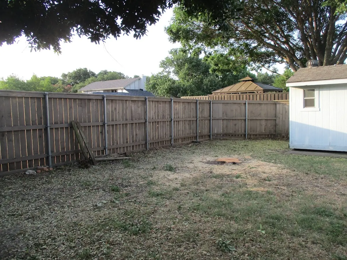 Cleared yard after professional tree removal in Newtonville